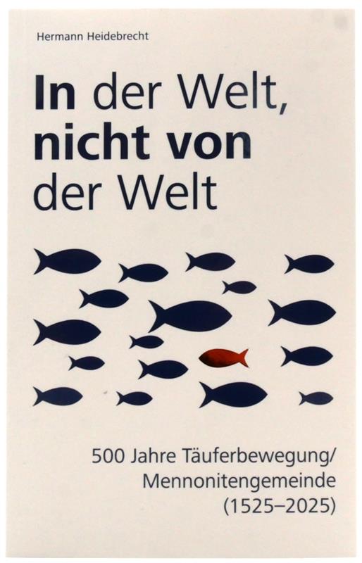 In der Welt nicht von der Welt (Heidebrecht)/ Buch