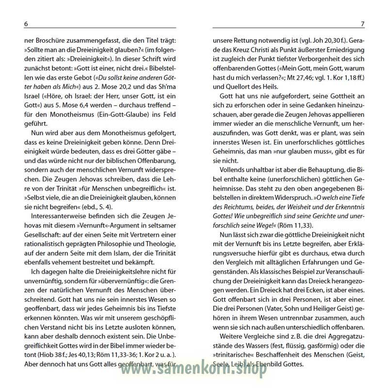 Dreieinigkeit, Band 13  Reihe Orientierung / Heft