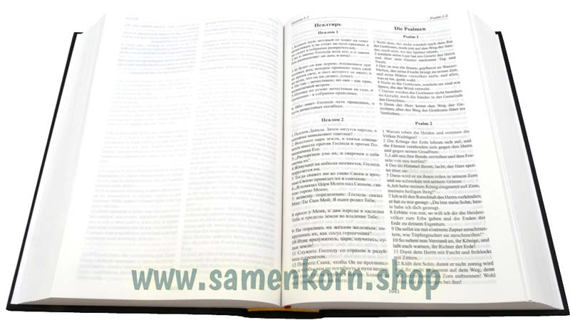 Biblija-Bibel Russisch-Deutsch