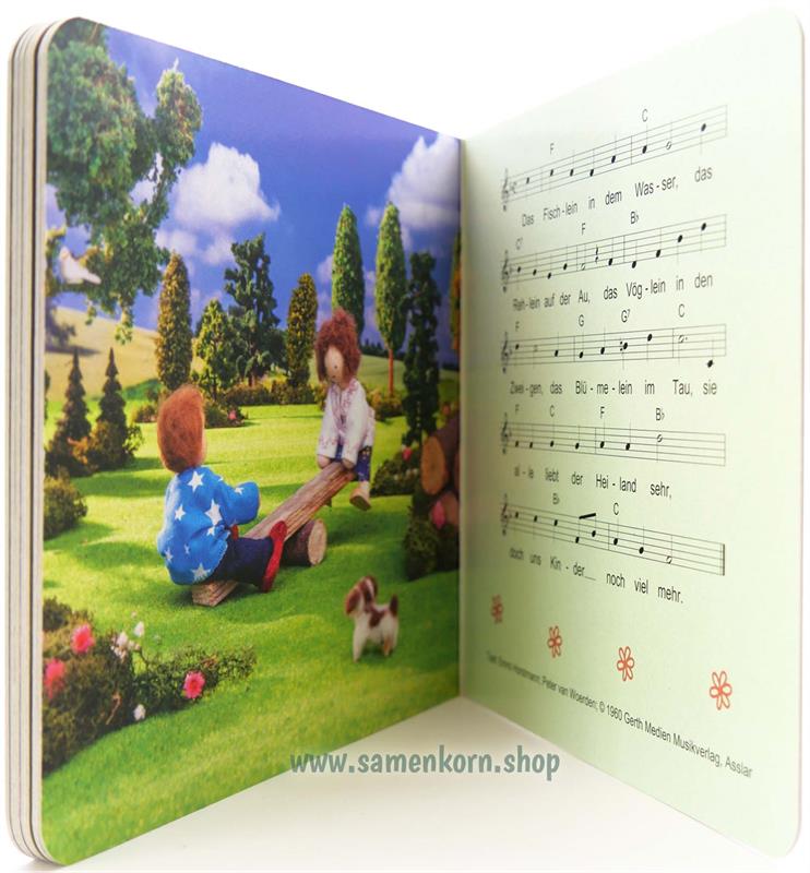 Pappe-Buch-Paket 2