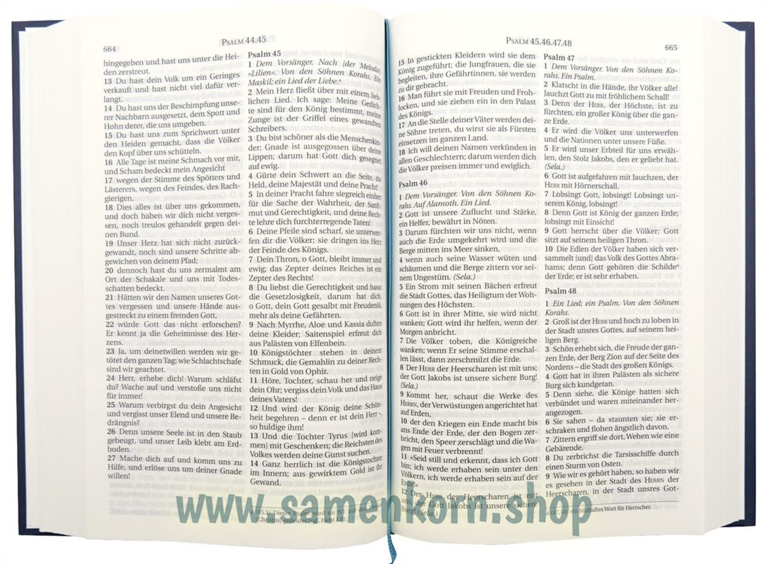 Schlachter - 2000 - illustrierter fester Einband - Welle
