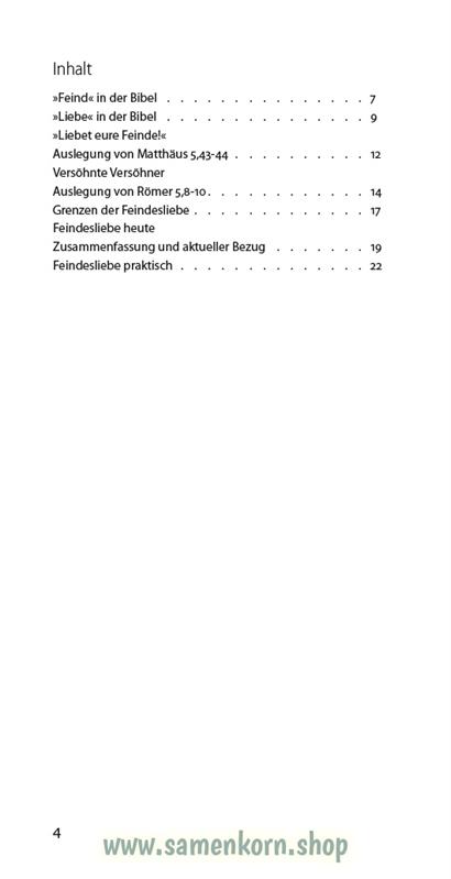 Feindesliebe, Band 29 Reihe Orientierung / Heft