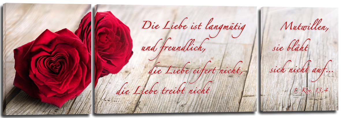 Bild "Rote Rosen"