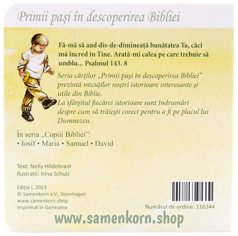 David / Pappbuch Rumänisch