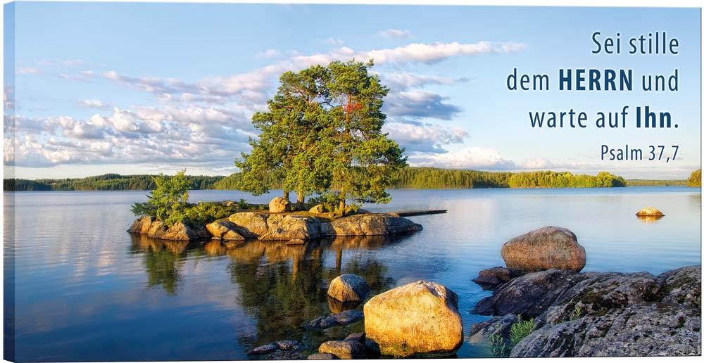 Bild "See mit Insel"