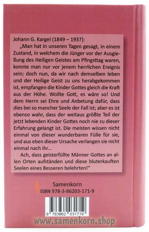 Wie stehst Du als Jünger des Herrn zum Heiligen Geist? / Buch