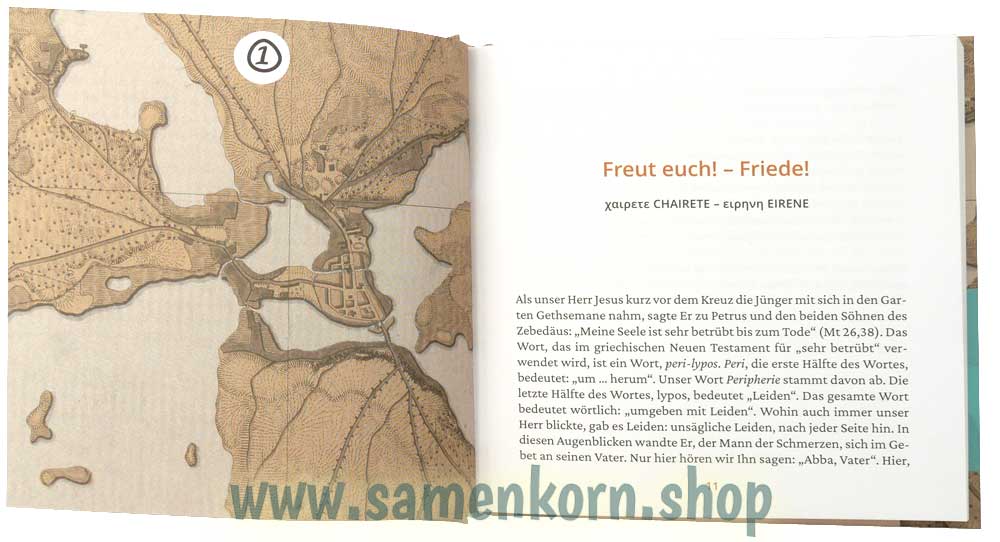 Verborgene Schätze im griechischen Neuen Testament / Buch