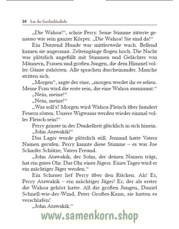Der Ruf der blauen Gänse / Buch
