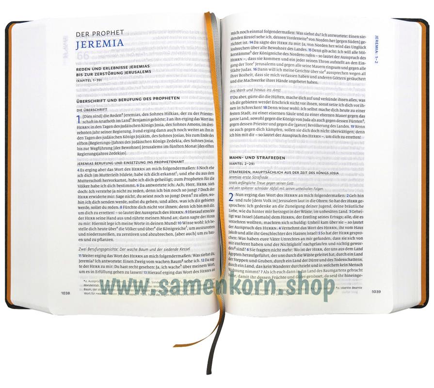 Menge 2020 / Buch