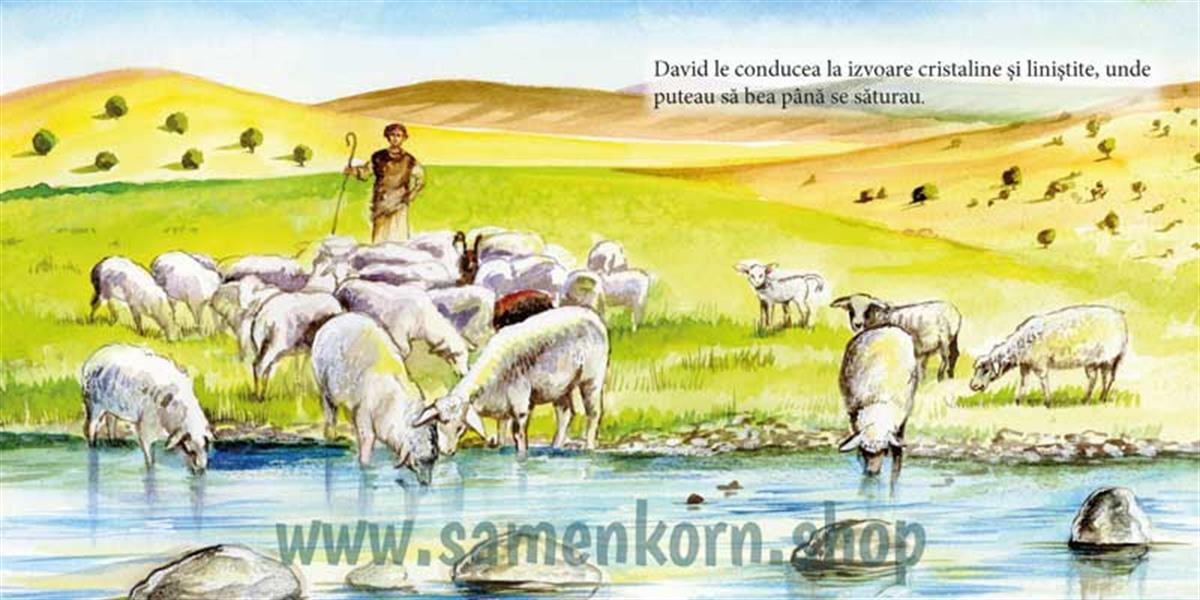 David / Pappbuch Rumänisch