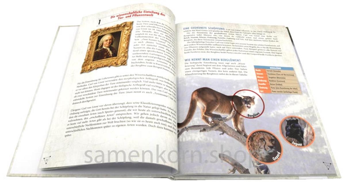 Wie viele Tiere waren in der Arche? / Buch