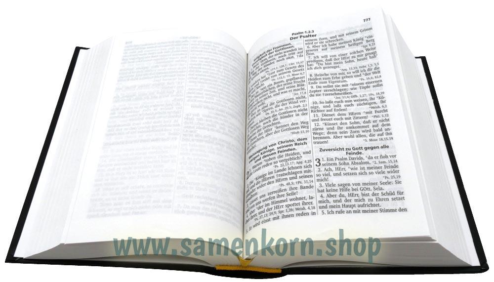 Luther 1545 ohne Apokryphen TA / Buch