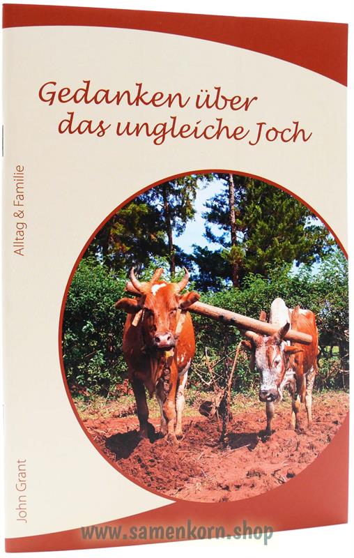 Serie Alltag und Familie - Set 9 Hefte