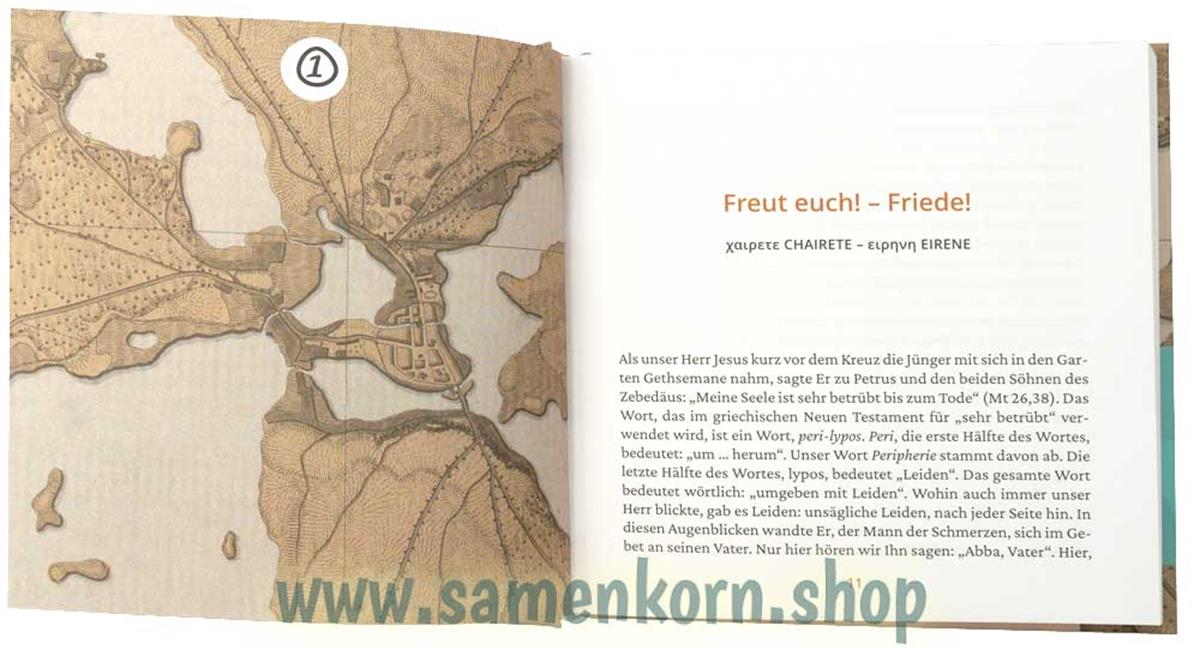 Verborgene Schätze im griechischen Neuen Testament / Buch