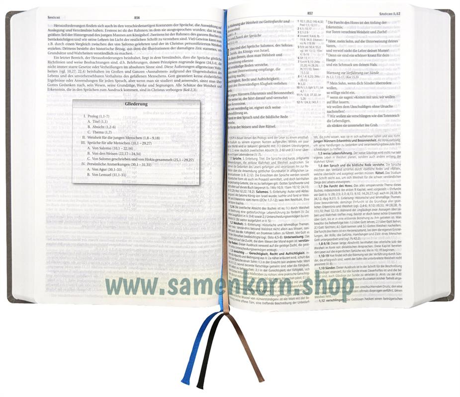 MacArthur Studienbibel - Schlachter 2000