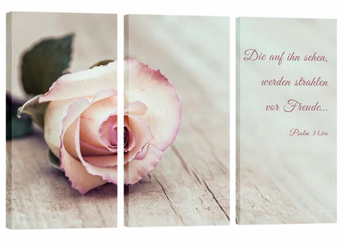 Bild "Rose auf Holz"
