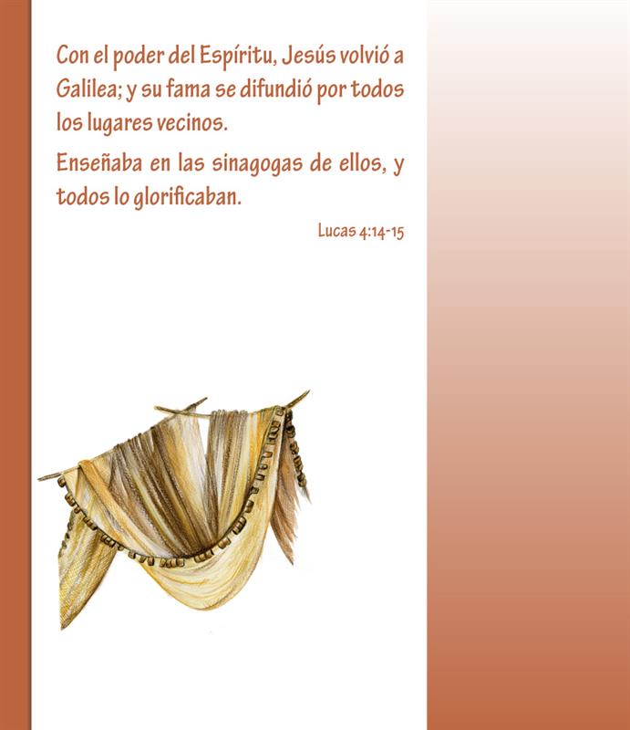 Entdecke die Bibel / Kinderbibel spanisch