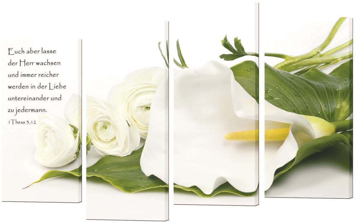 Bild "Weiße Calla und Rosen"