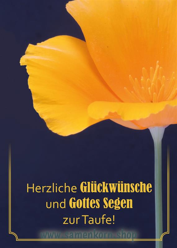 Zur Taufe / offene Tulpe