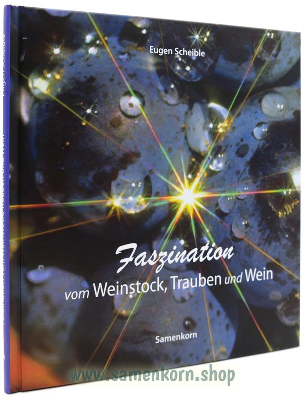 Bildbände von Eugen Scheible / 4-Bücher-Set