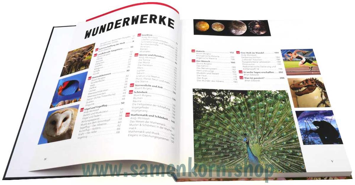 Wunderwerke / Buch