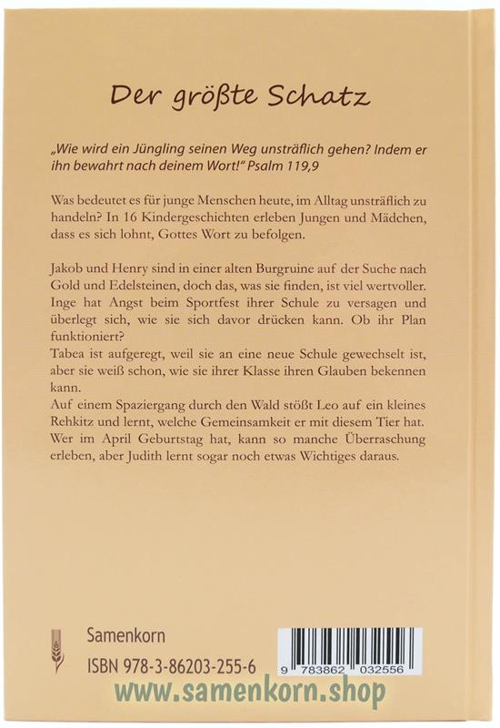 Der größte Schatz / Buch