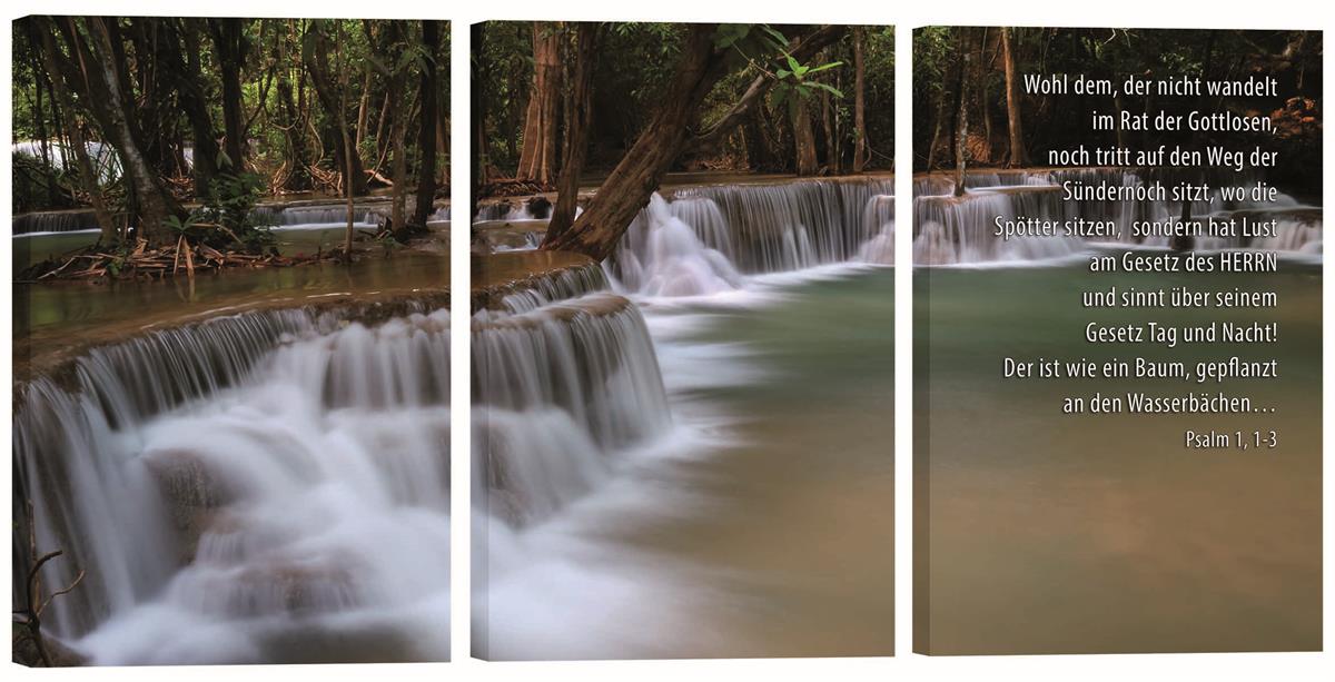 Bild "Wasserfall im Wald"