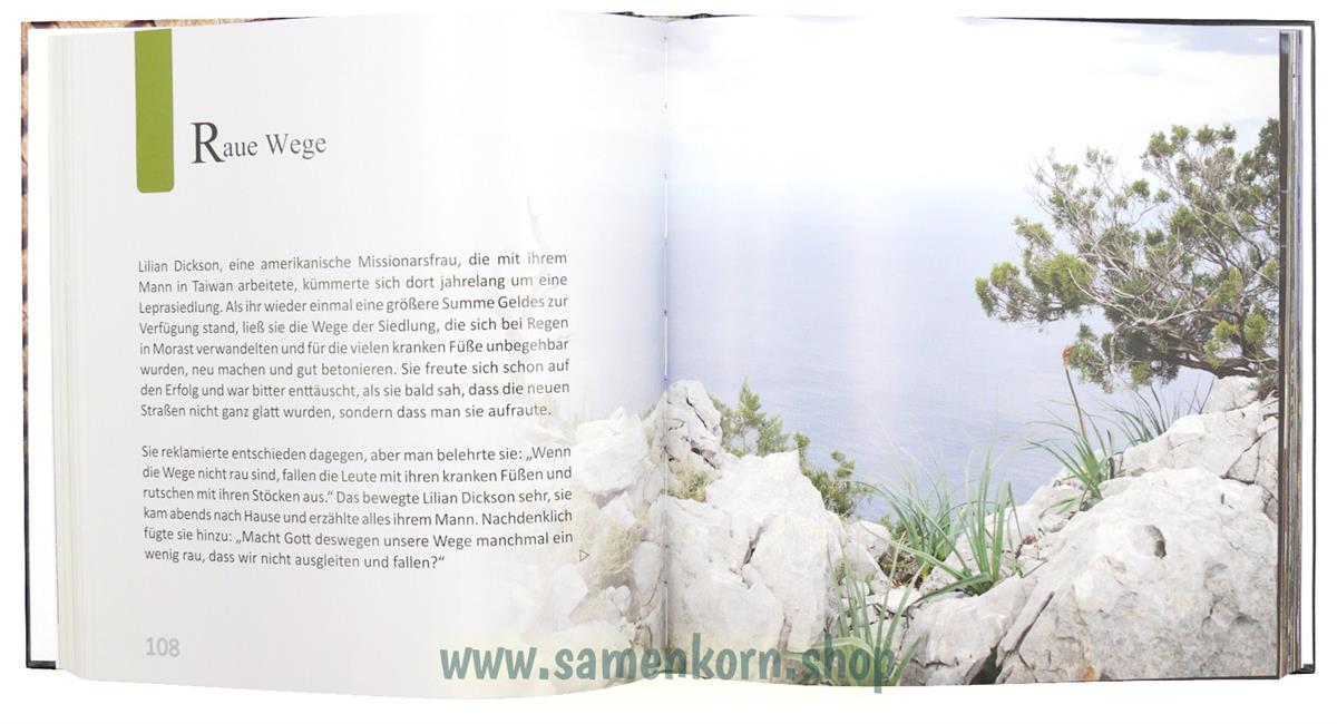 Jahresringe / Bildband / Buch
