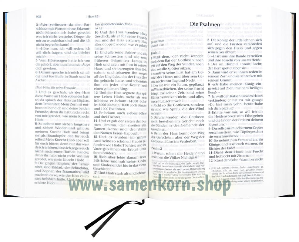 Schlachter 2000 Großdruck / Buch