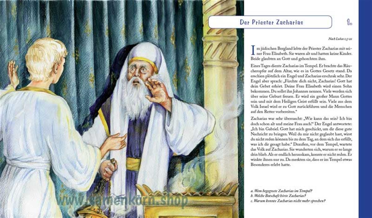 Entdecke die Bibel - NT / Kinderbibel