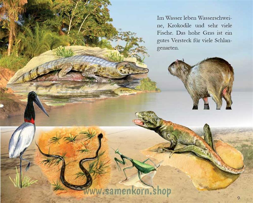 Ein liebender Vater - Kinder in Bolivien / Heft
