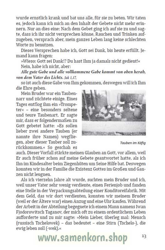Deine Treue ist groß / Buch