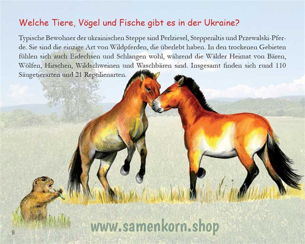 Die Nacht im Wald - Kinder in der Ukraine / Heft