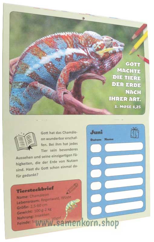 Geburtstagskalender für Kids / Heft
