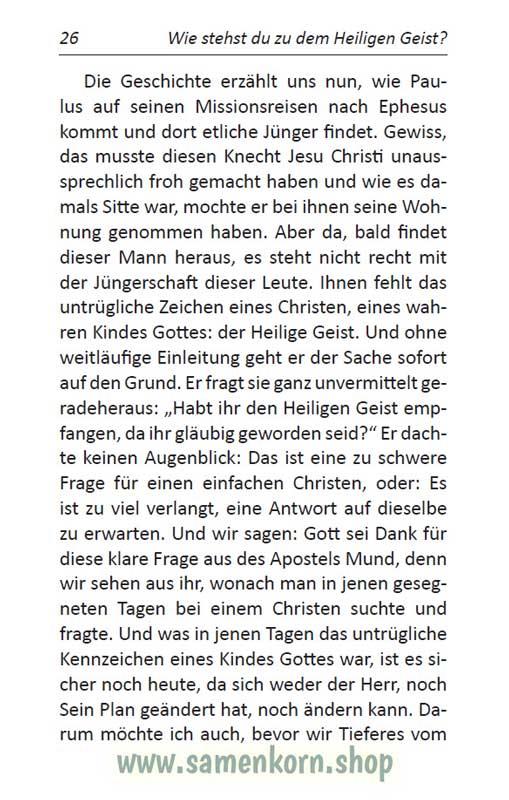 Wie stehst Du als Jünger des Herrn zum Heiligen Geist? / Buch