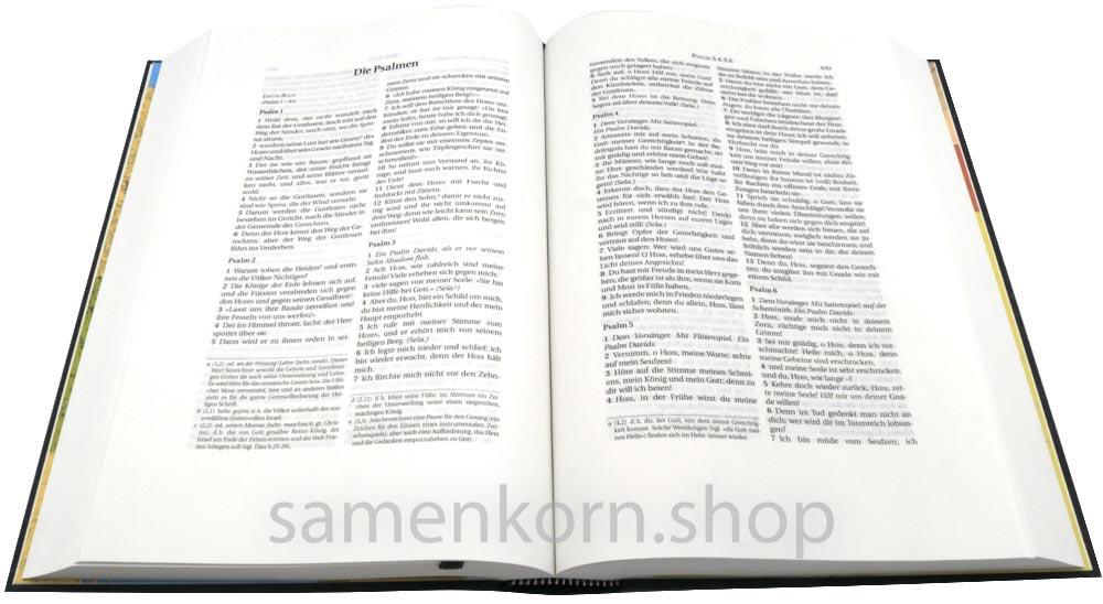 Schlachter 2000 - Schreibrandausgabe, schwarz, ohne Parallelstellen / Buch