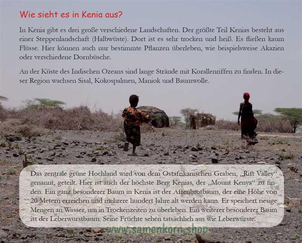 Das gestohlene Geld - Kinder in Kenia / Heft