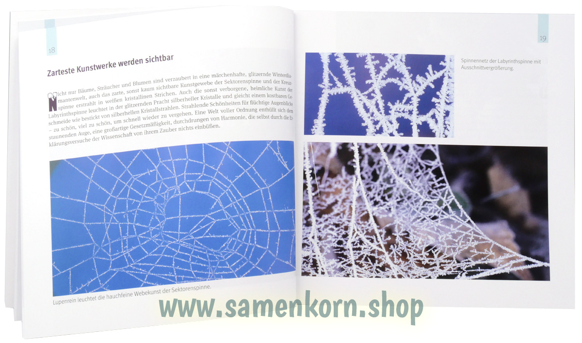 Einzigartige Kunstformen aus Schnee, Eis und Licht / Buch