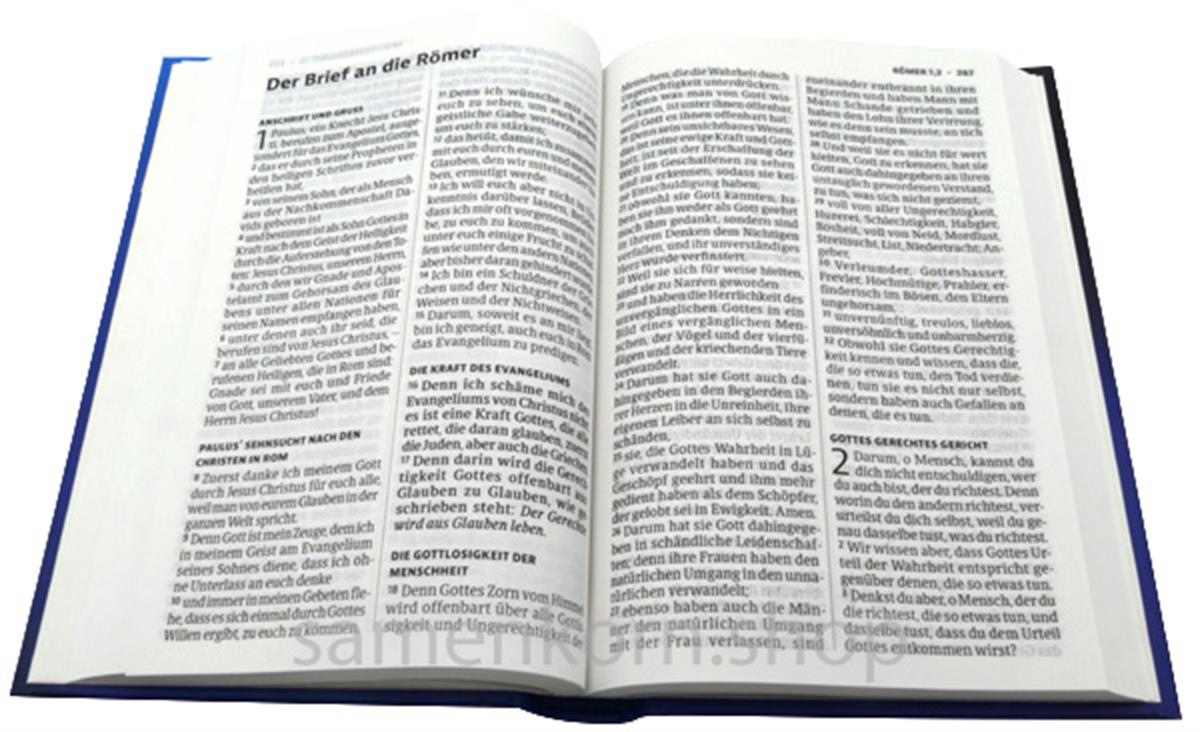 Luther21 Neues Testament, Psalmen, Sprüche - blau, klein, HC / Buch
