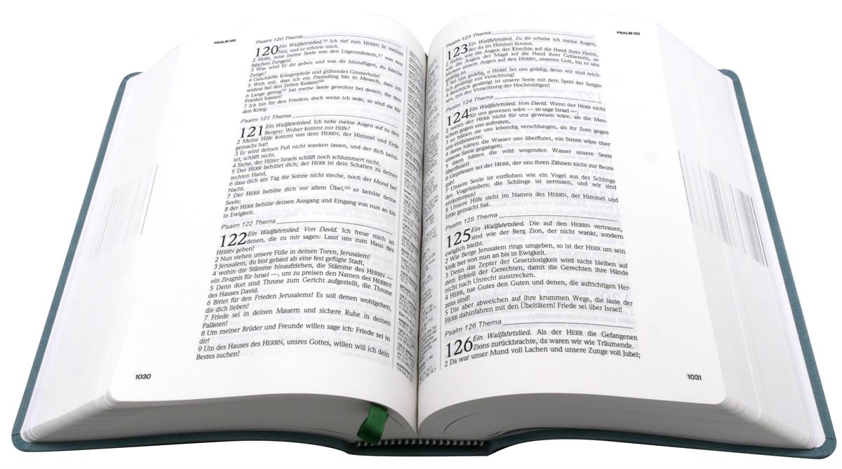 Die Neue Induktive Studienbibel / Buch
