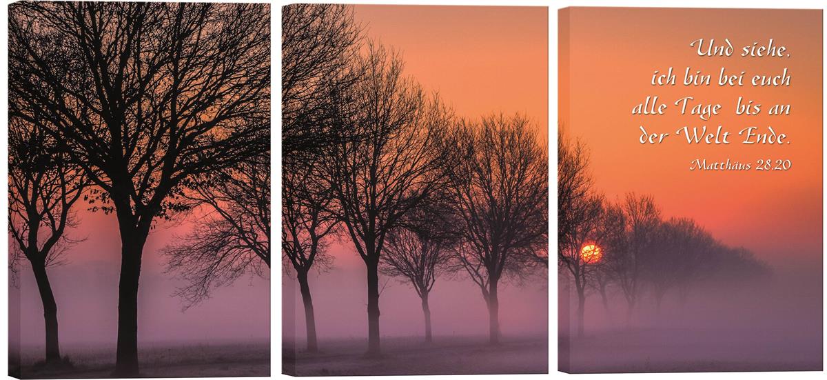 Bild "Sonnenaufgang bei Nebel"