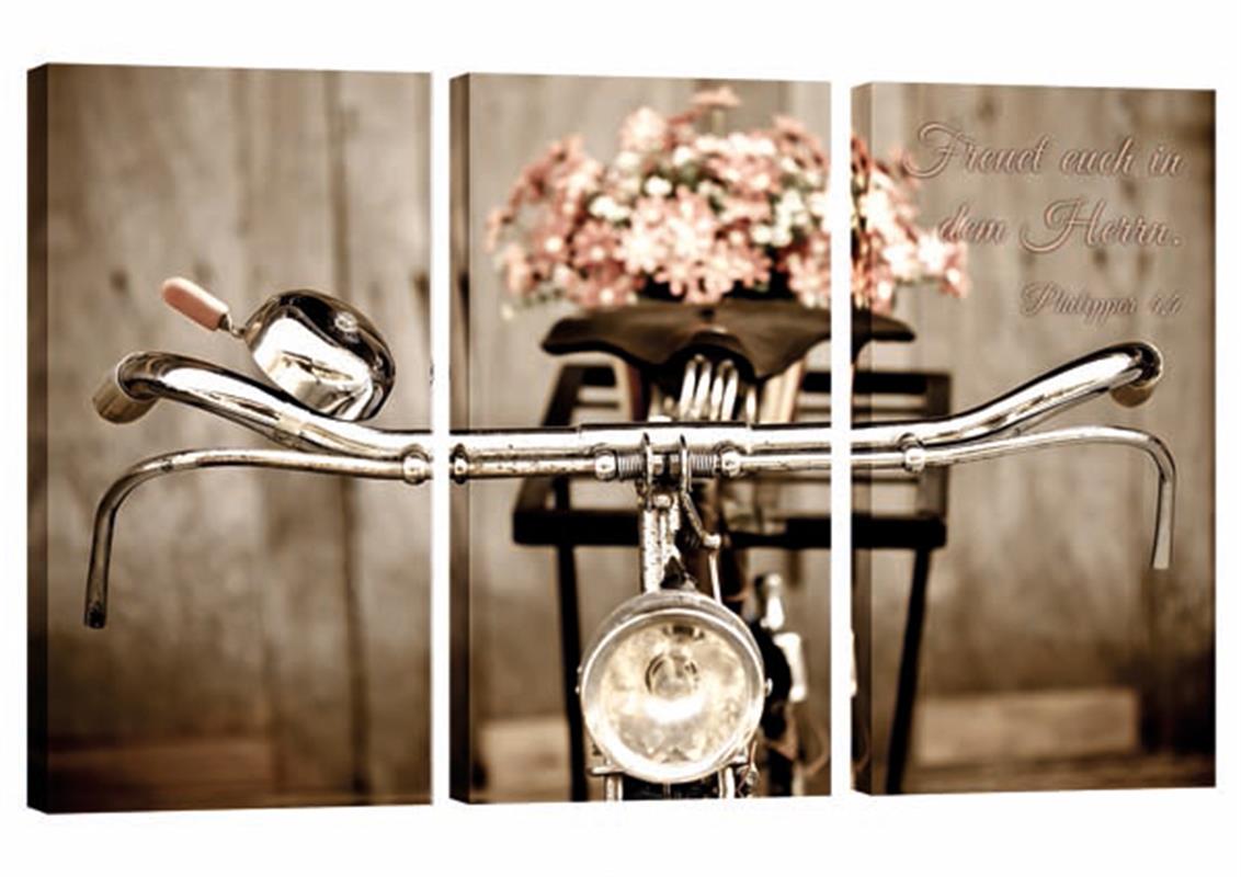 Bild "Fahrrad mit Blumen"