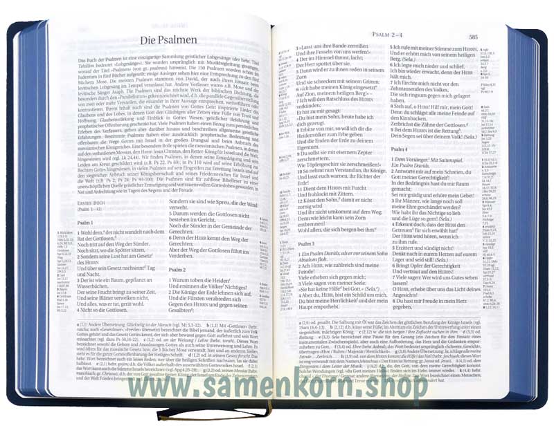 Schlachter 2000 - TA, PU, sandfarben, blauer Farbschnitt / Buch