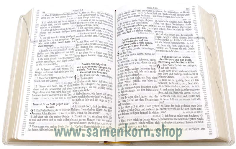 Die Traubibel, weiß, Leder,  Luther 1912 / Buch
