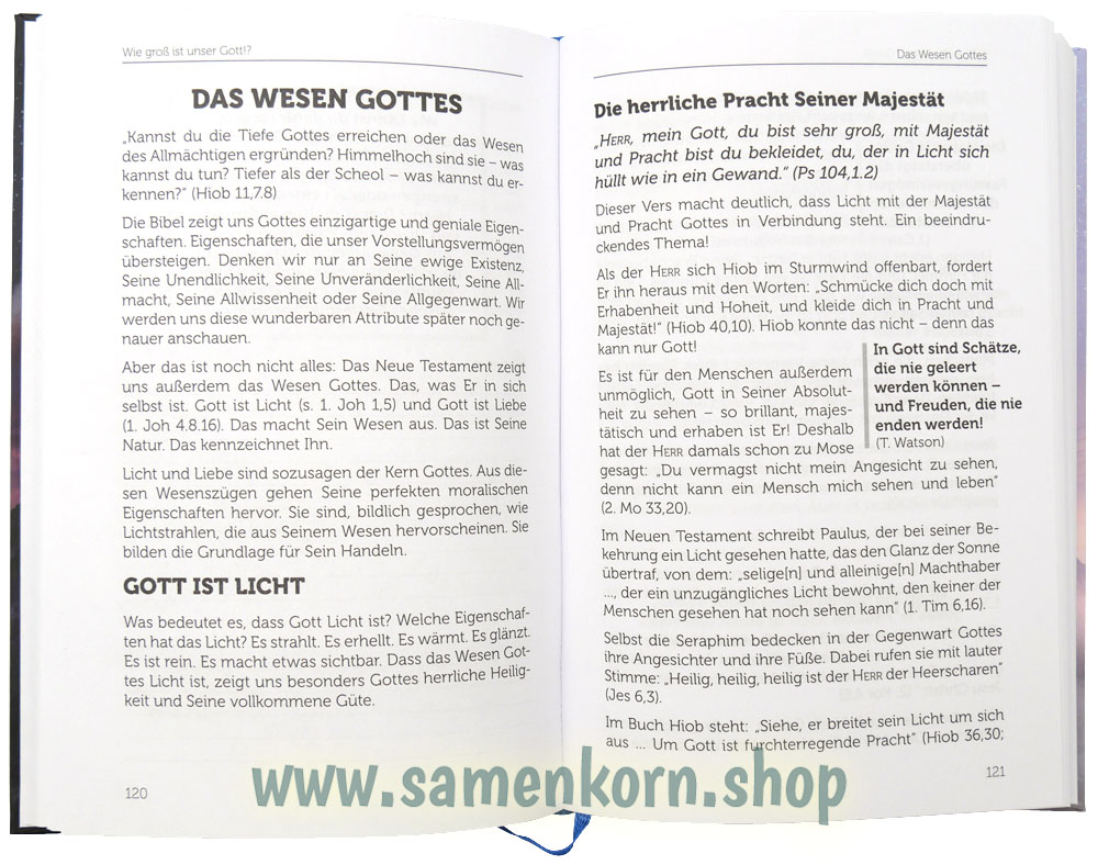 Wie groß ist unser Gott!? / Buch