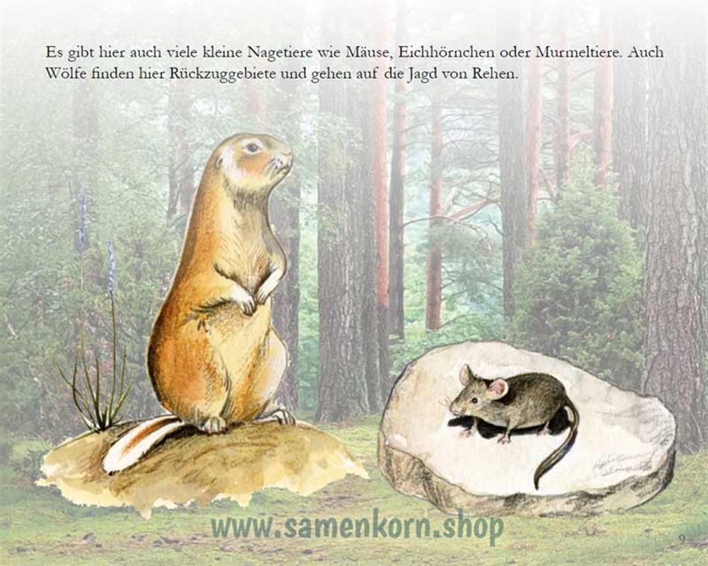 Der seltsame Besuch - Kinder in Kasachstan / Heft