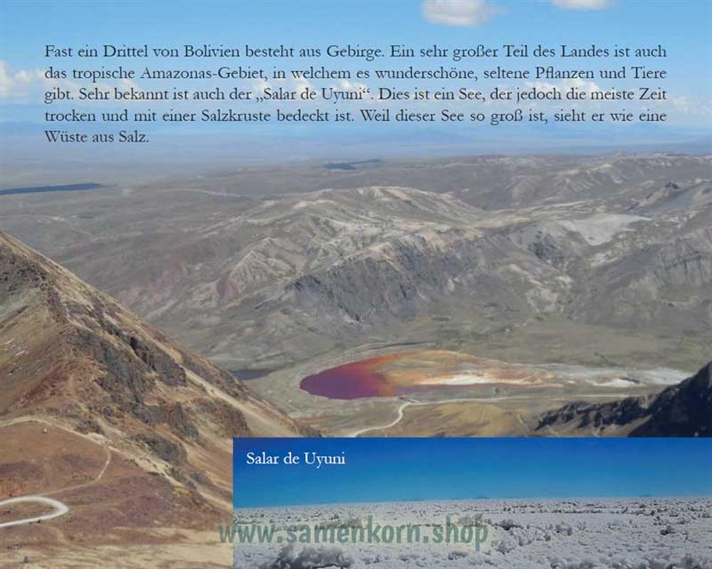 Ein liebender Vater - Kinder in Bolivien / Heft