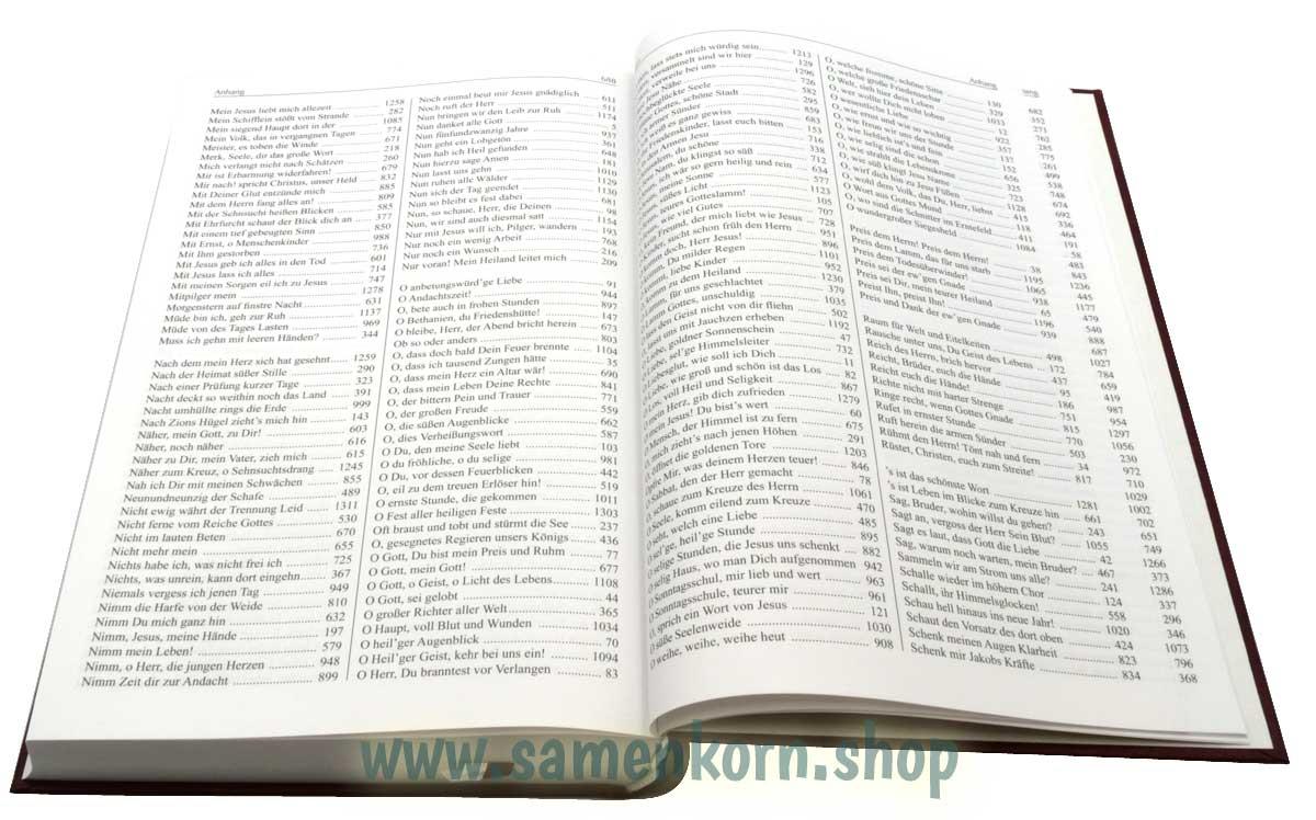 Liederbuch mit Noten, Band 2