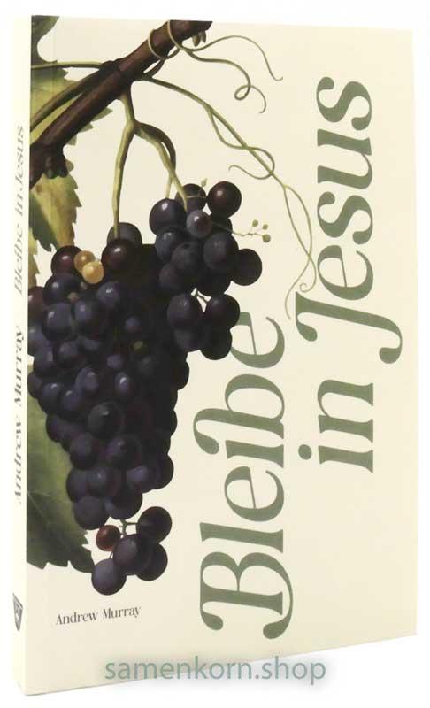 Bleibe in Jesus / Buch