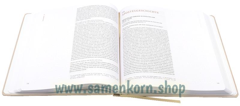Das NT Menge 2020, beige, Hardcover / Buch